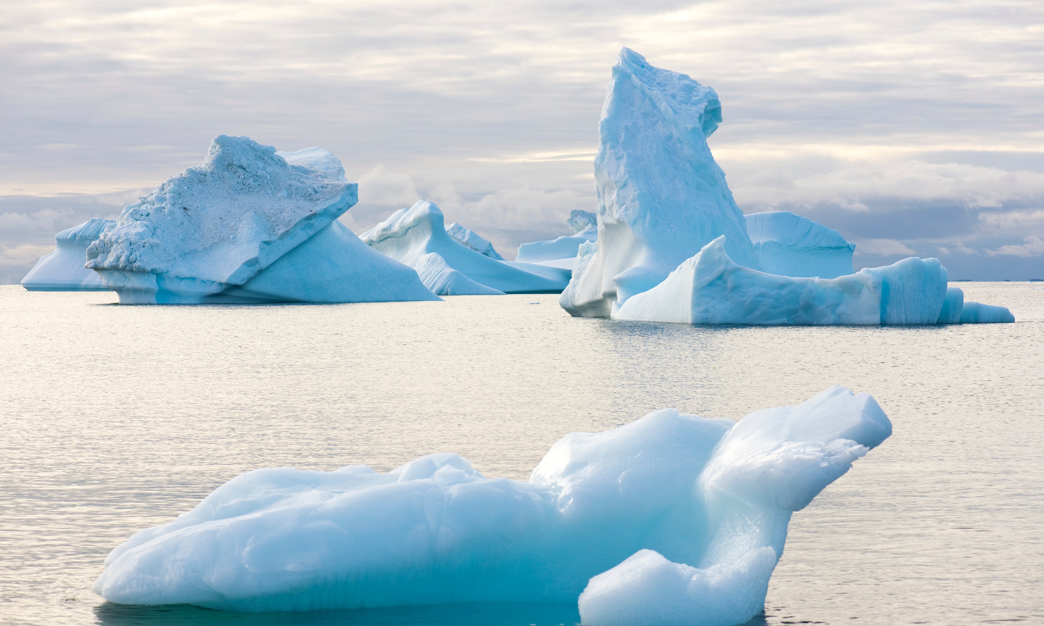 Stillgiants-120x80cm.jpg