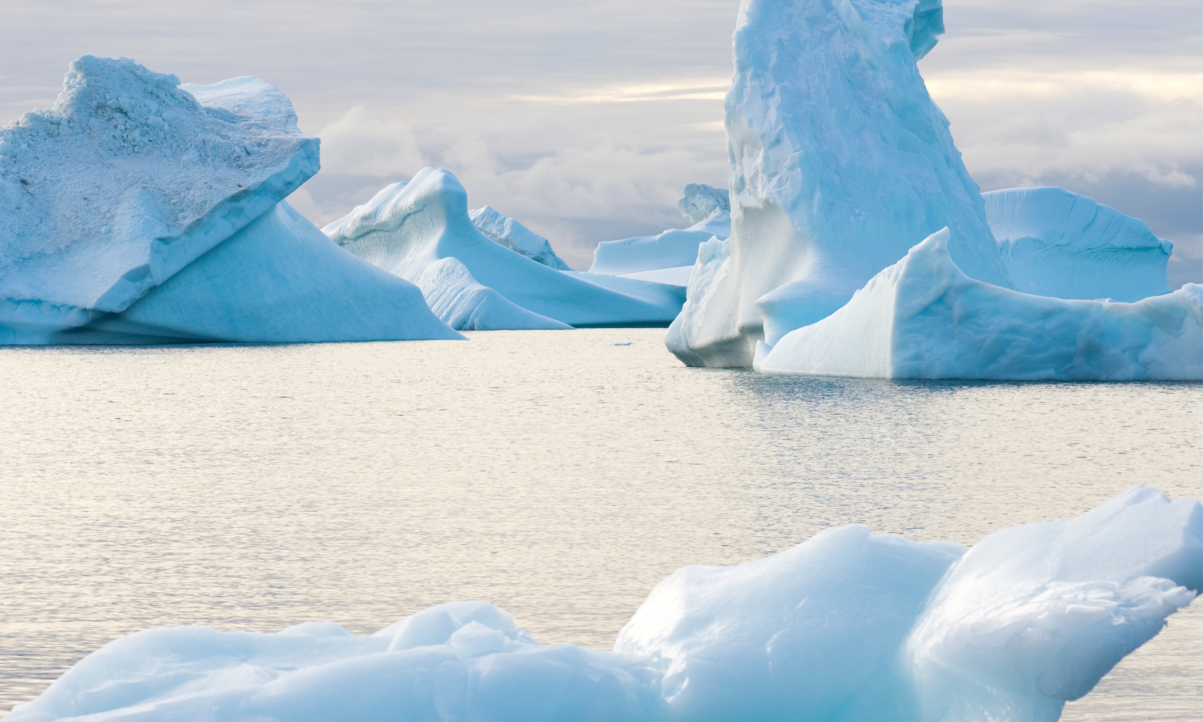 Stillgiants-150x150cm.jpg