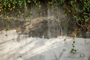 Stonevine