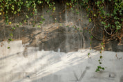 Stonevine