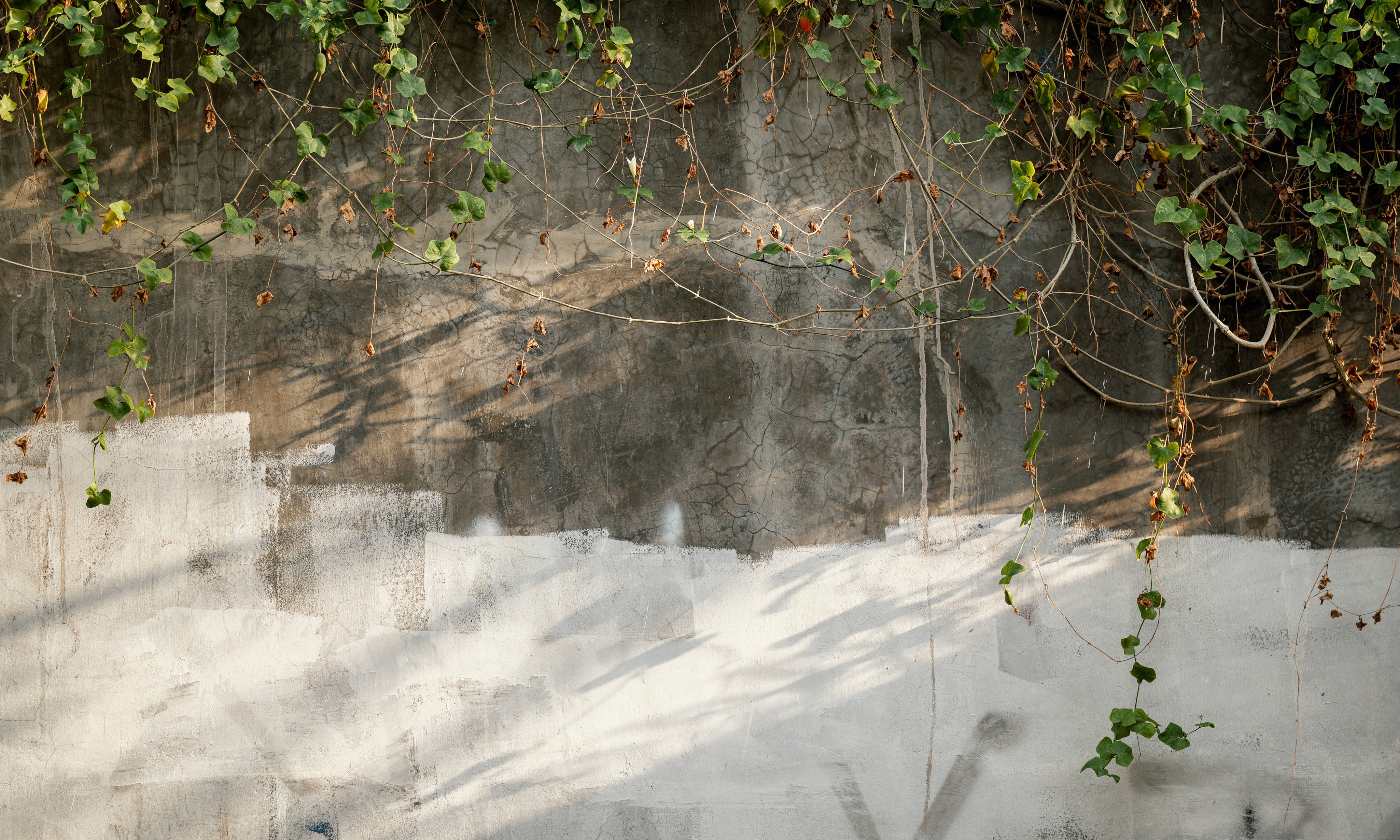Stonevine-150x100cm.jpg