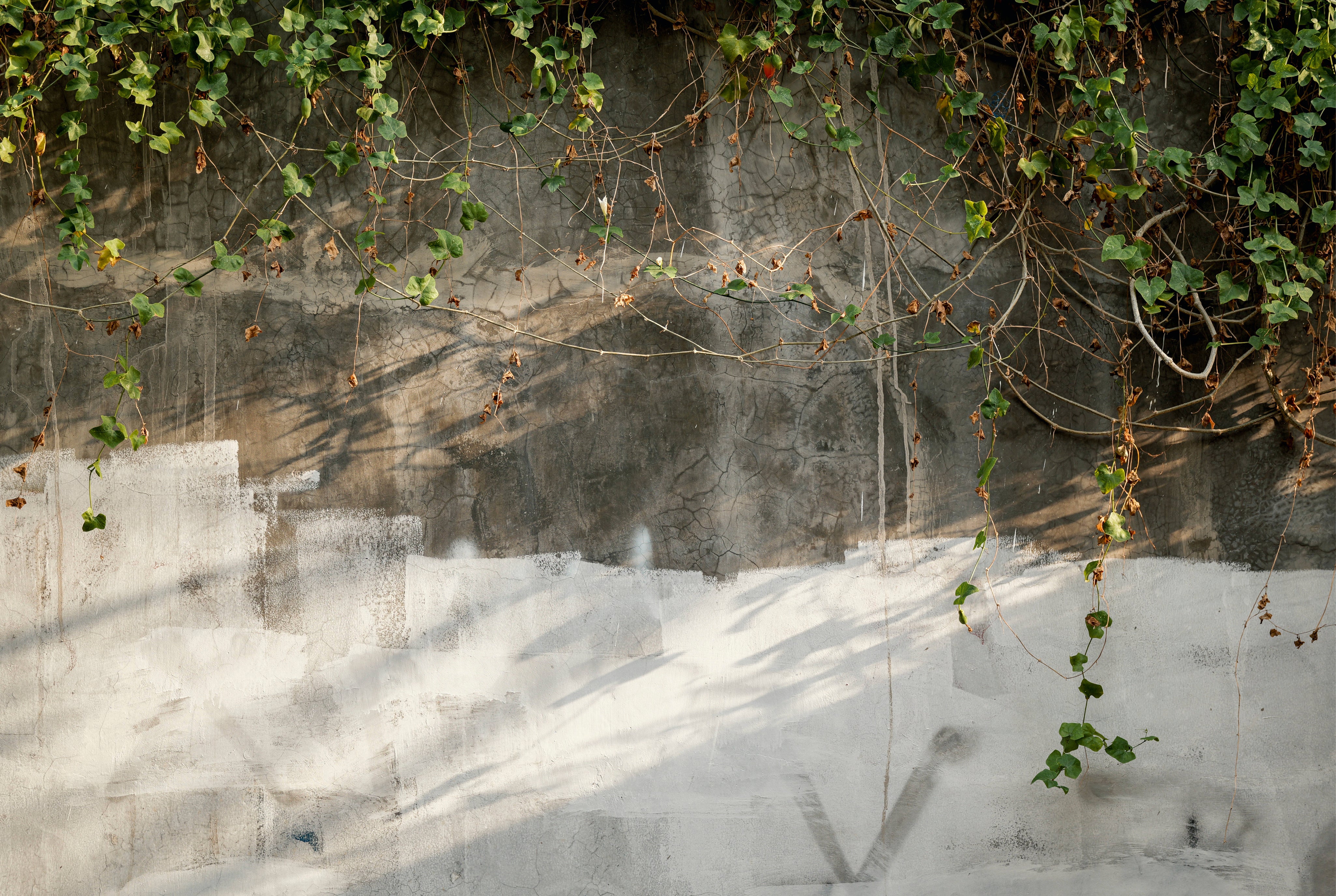 Stonevine-150x100cm.jpg