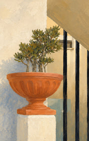 Terracotta calm