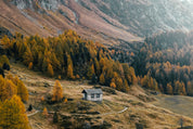 The absent presence