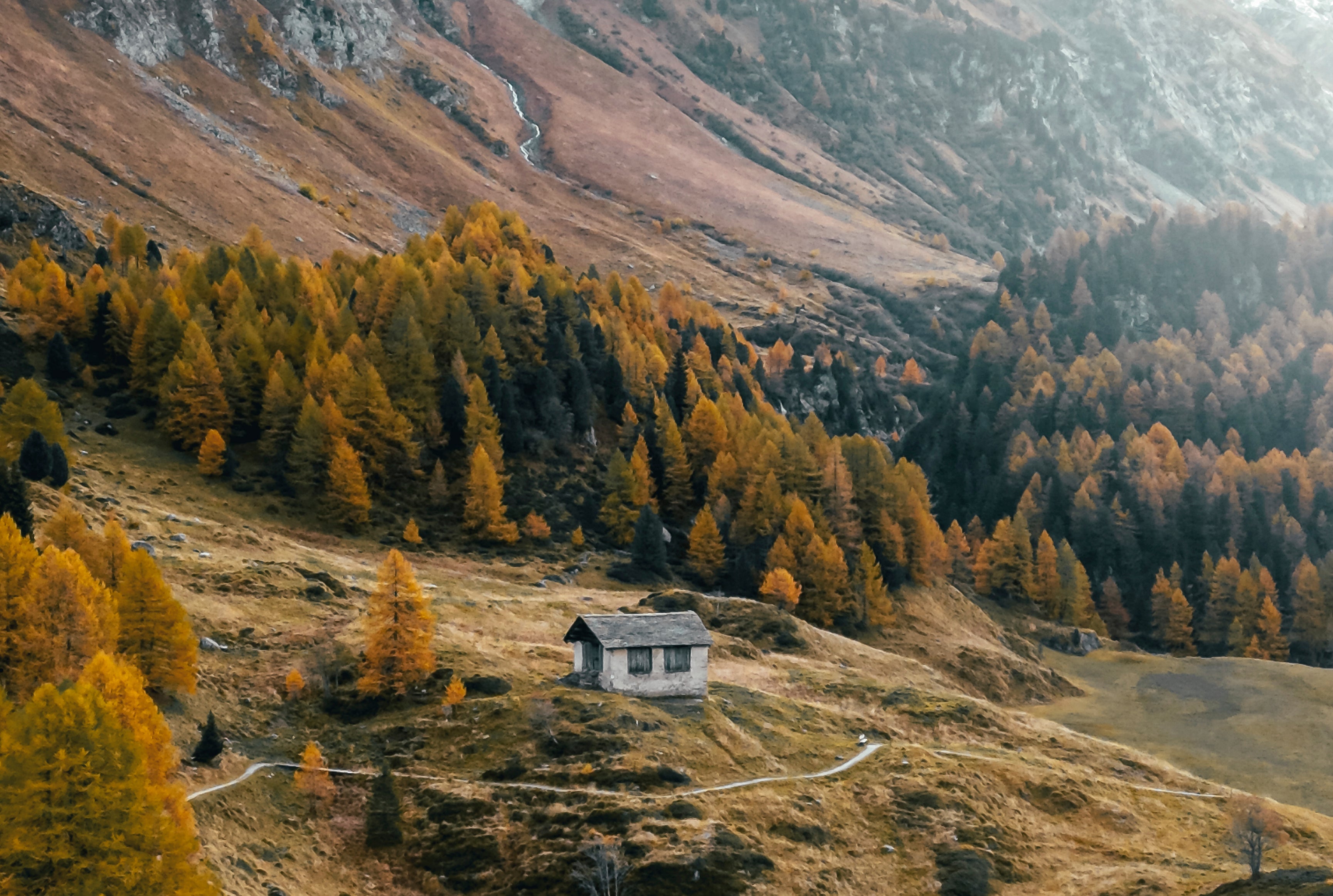 The absent presence