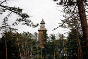 The lone tower