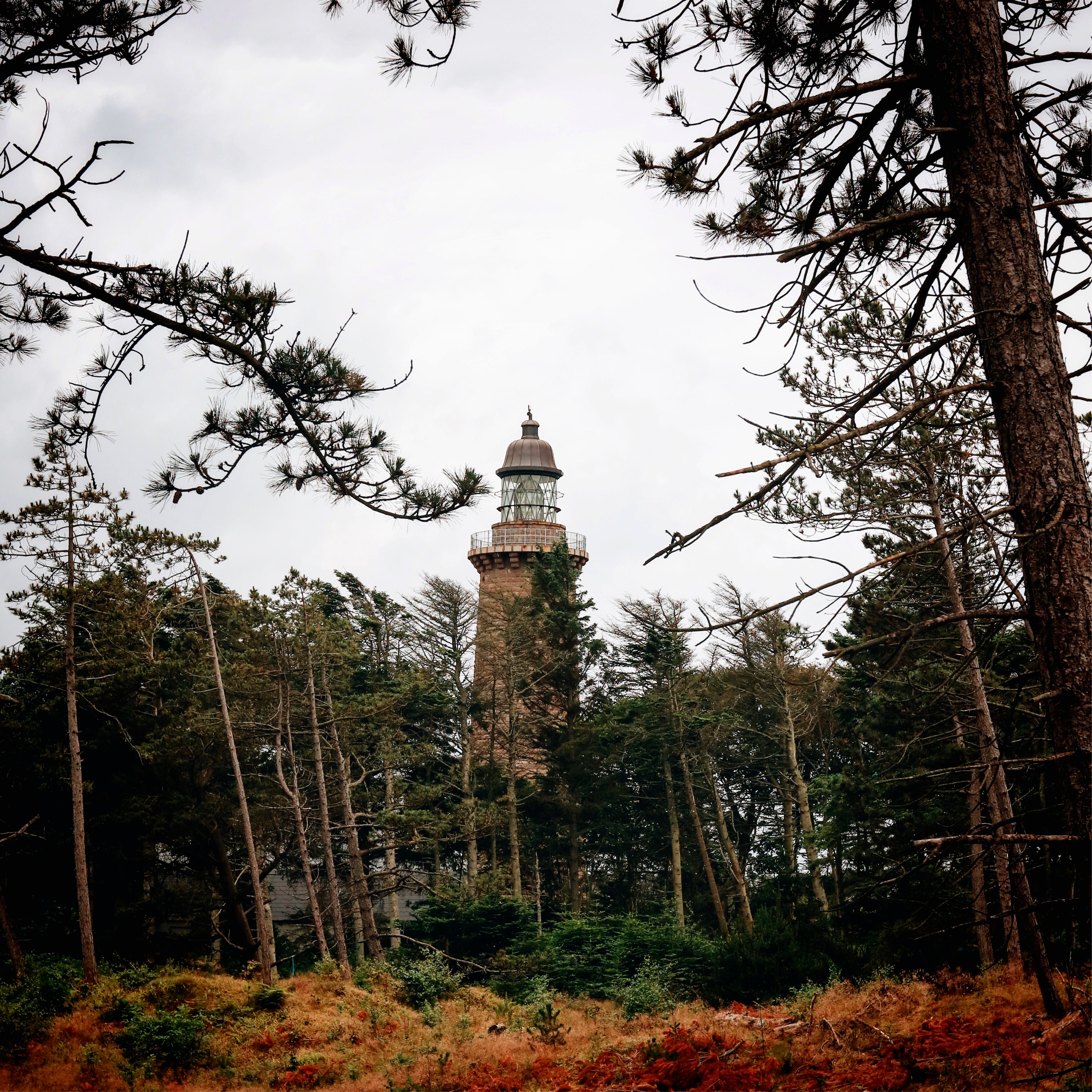 The lone tower