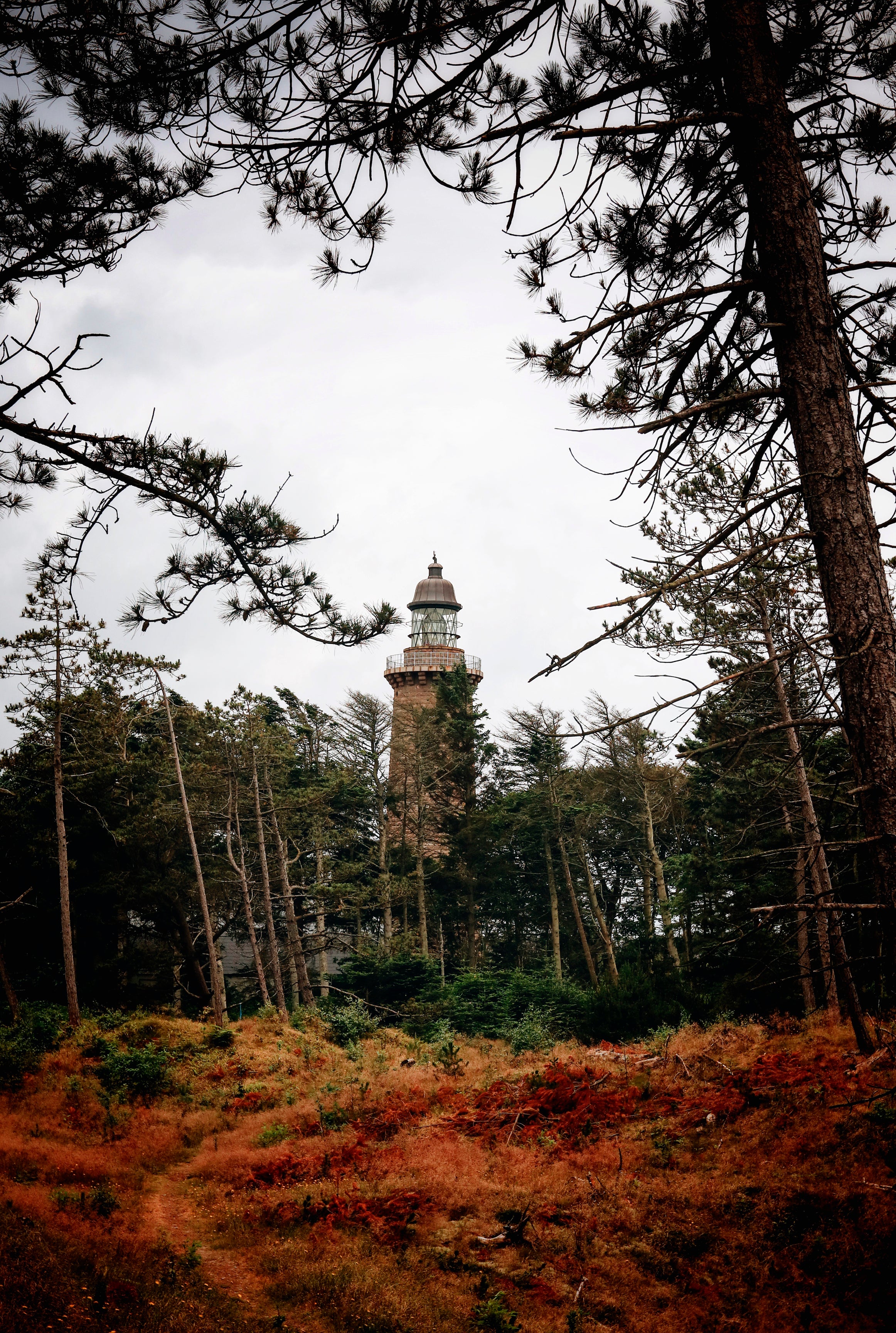 The lone tower