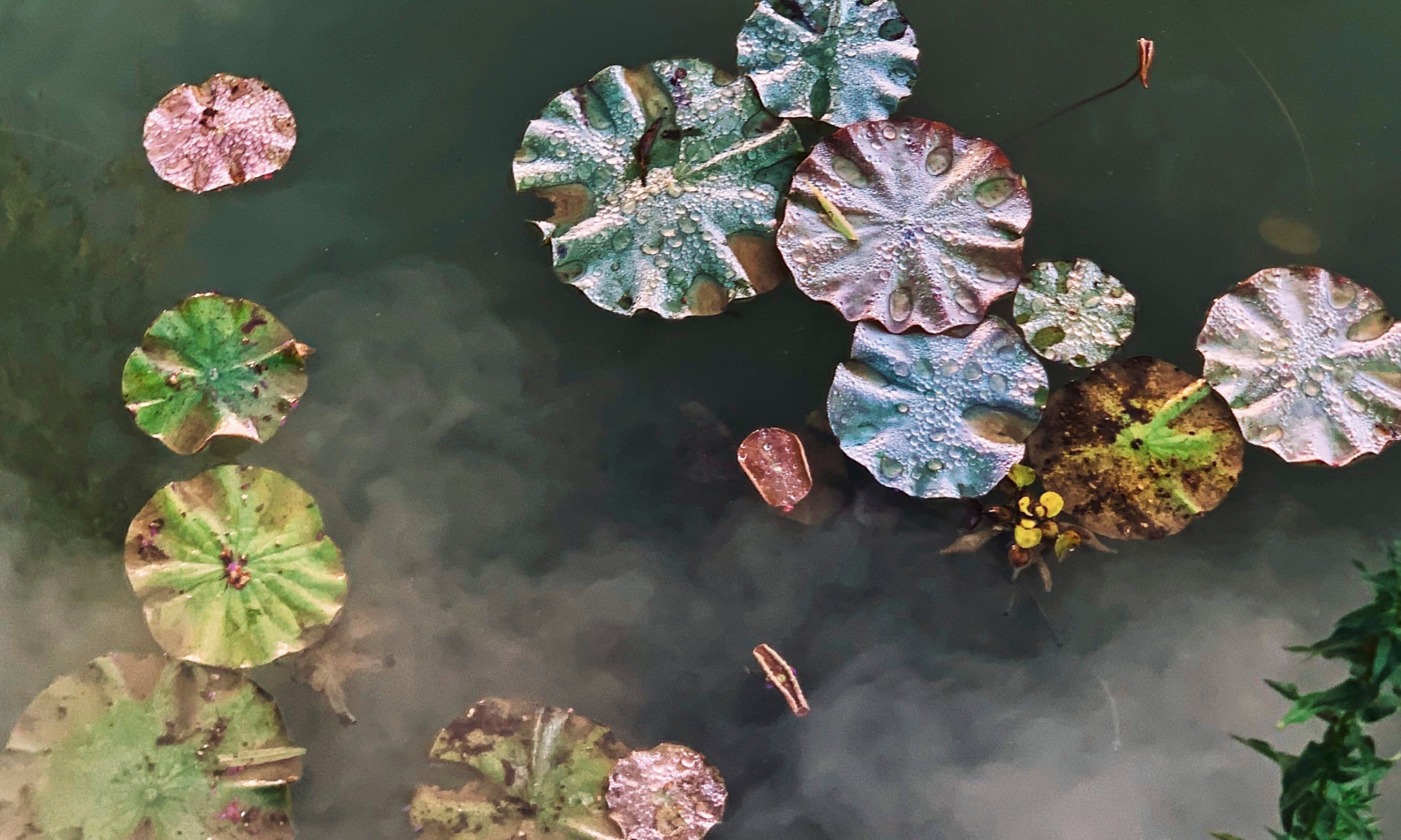 Thequietfloat-100x150cm.jpg