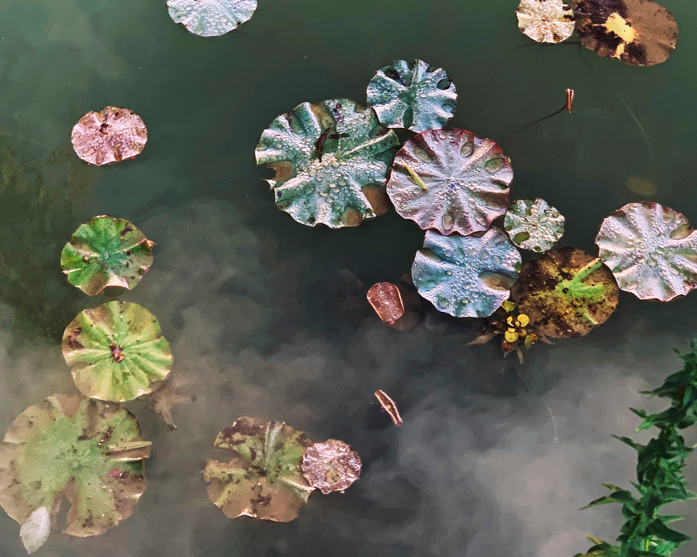 Thequietfloat-100x150cm.jpg