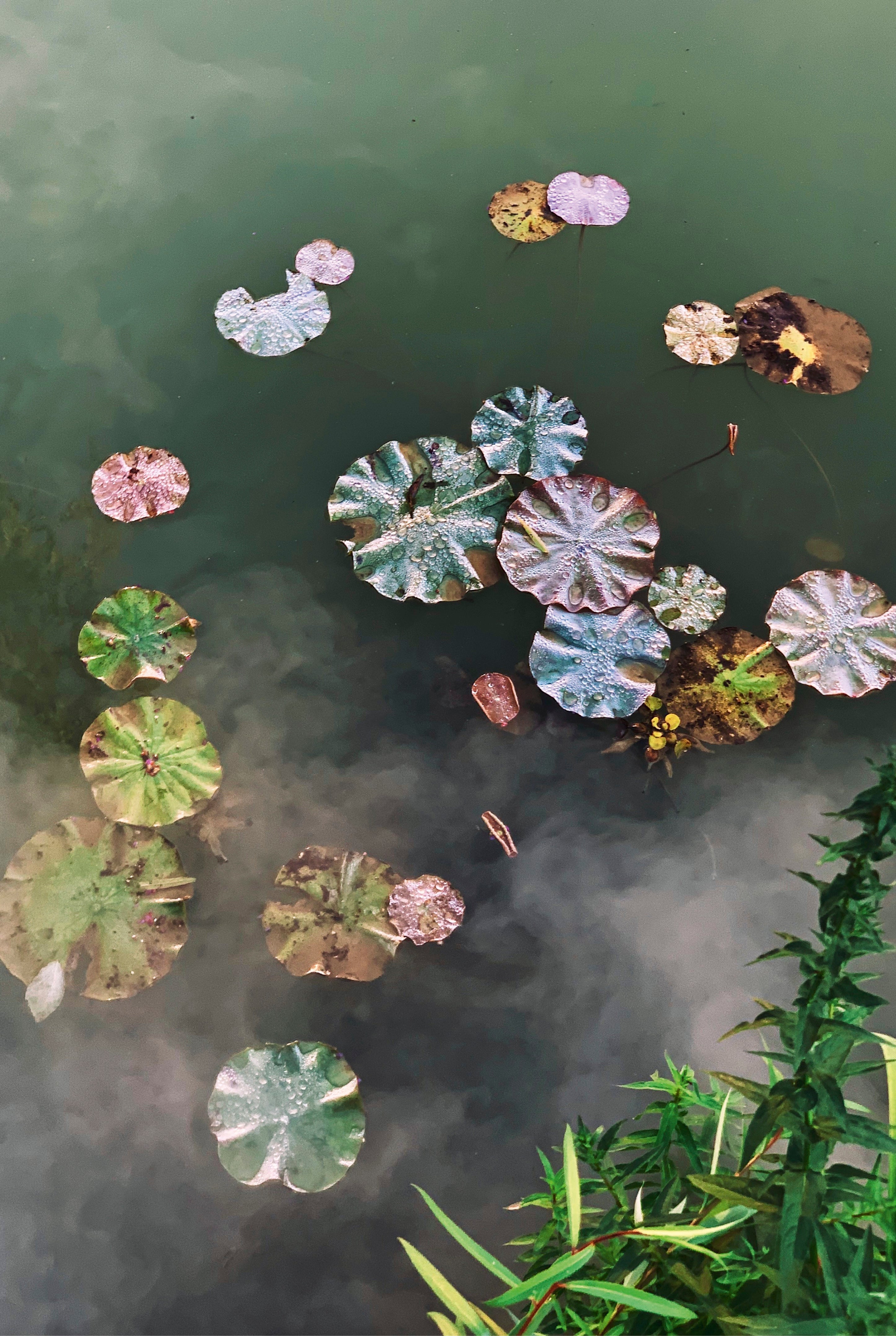 The quiet float