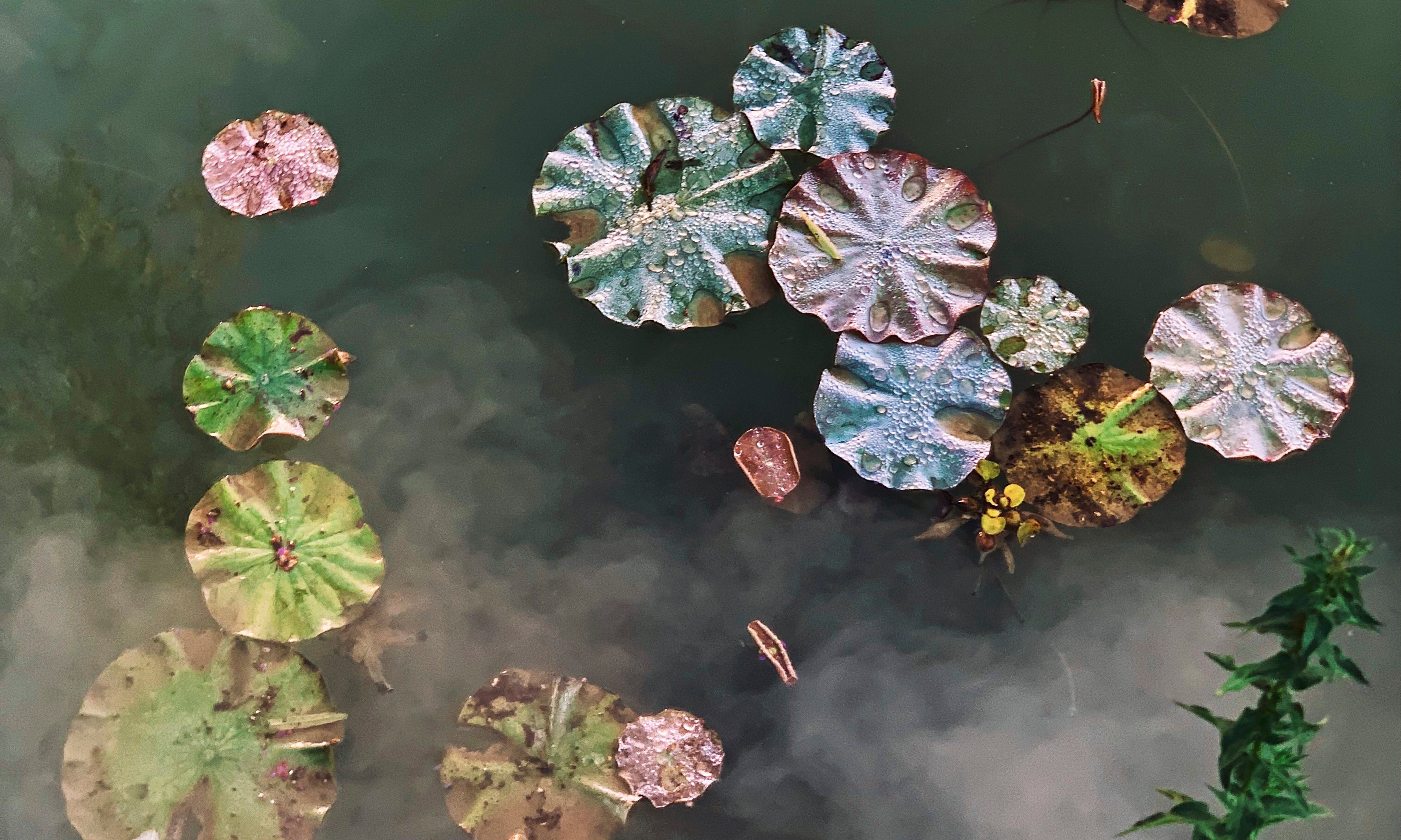 Thequietfloat-150x100cm.jpg