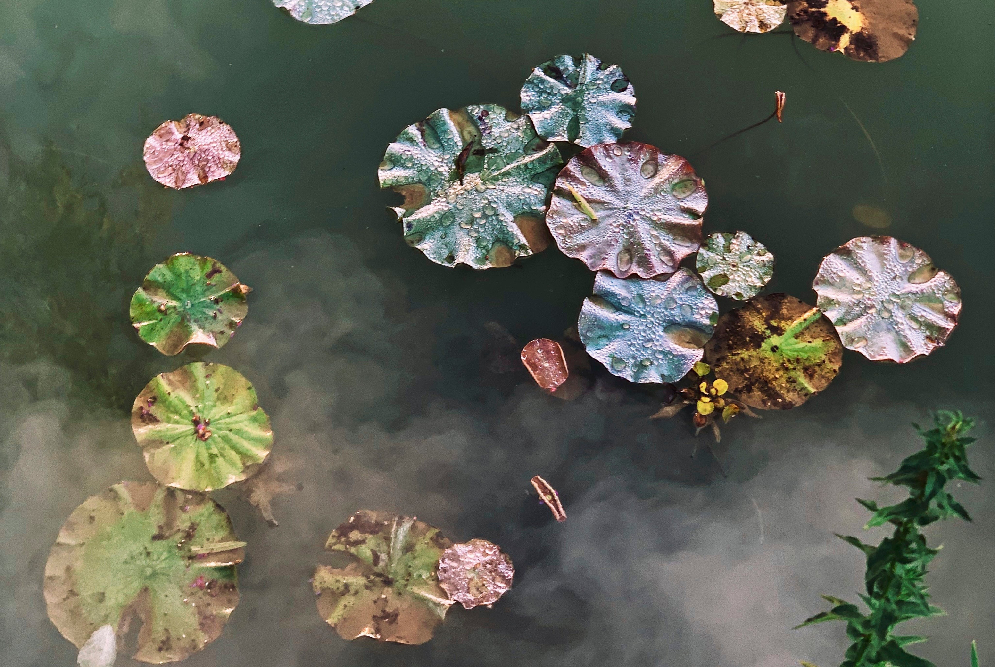 The quiet float