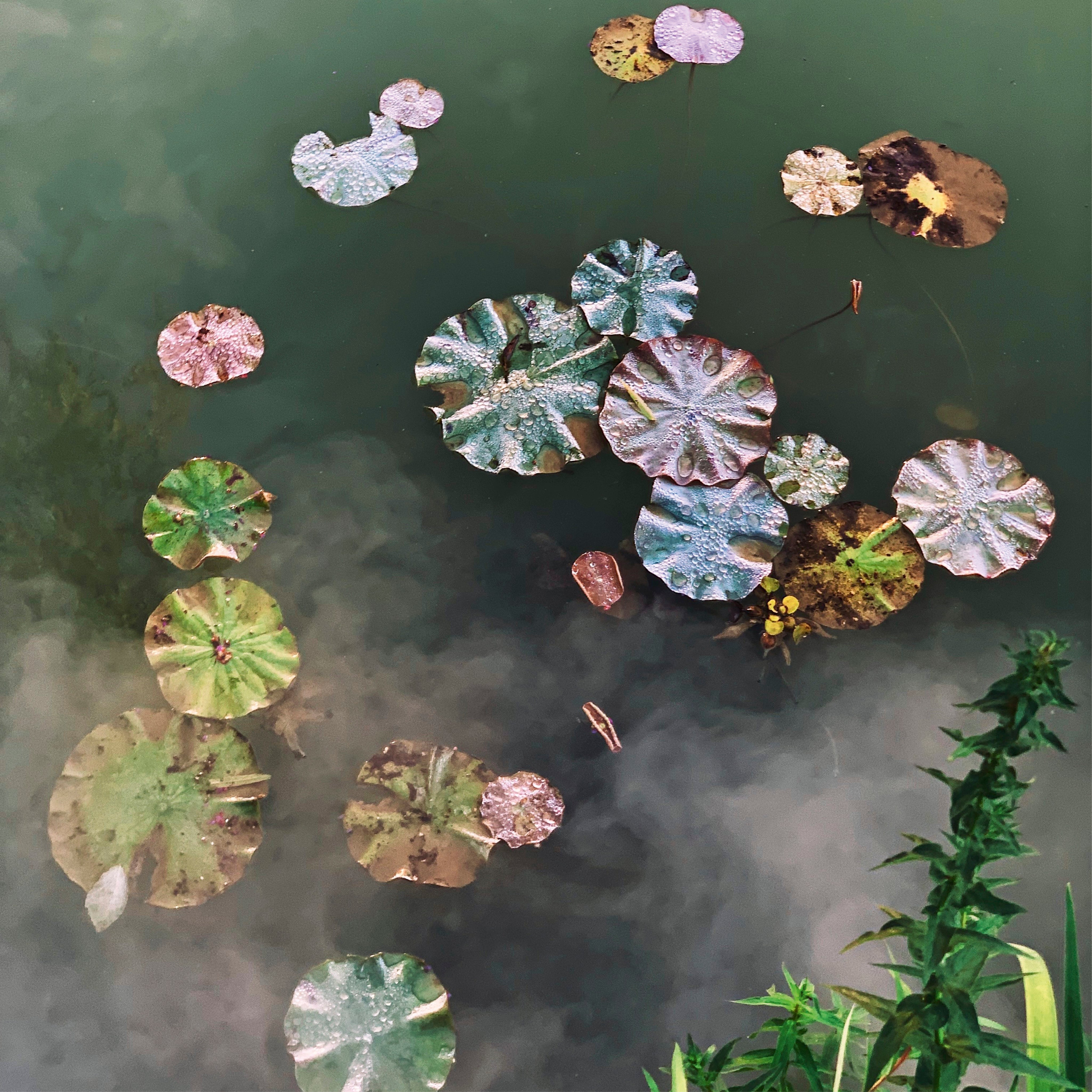 The quiet float