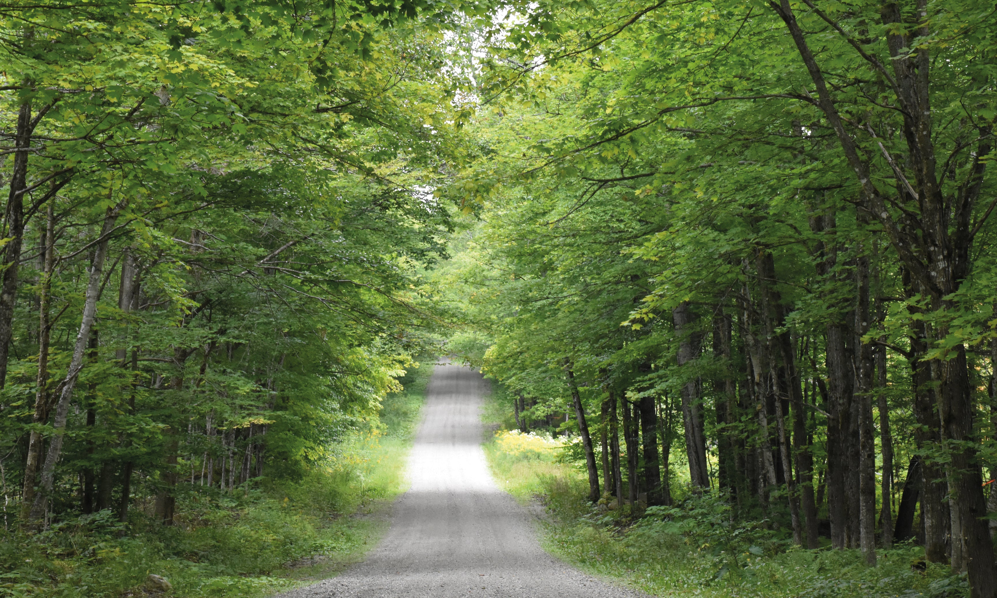 Theroadahead-120x80cm_16c8897c-af39-42d8-b15f-0d0b028fb3ff.jpg