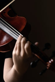 The strings in motion