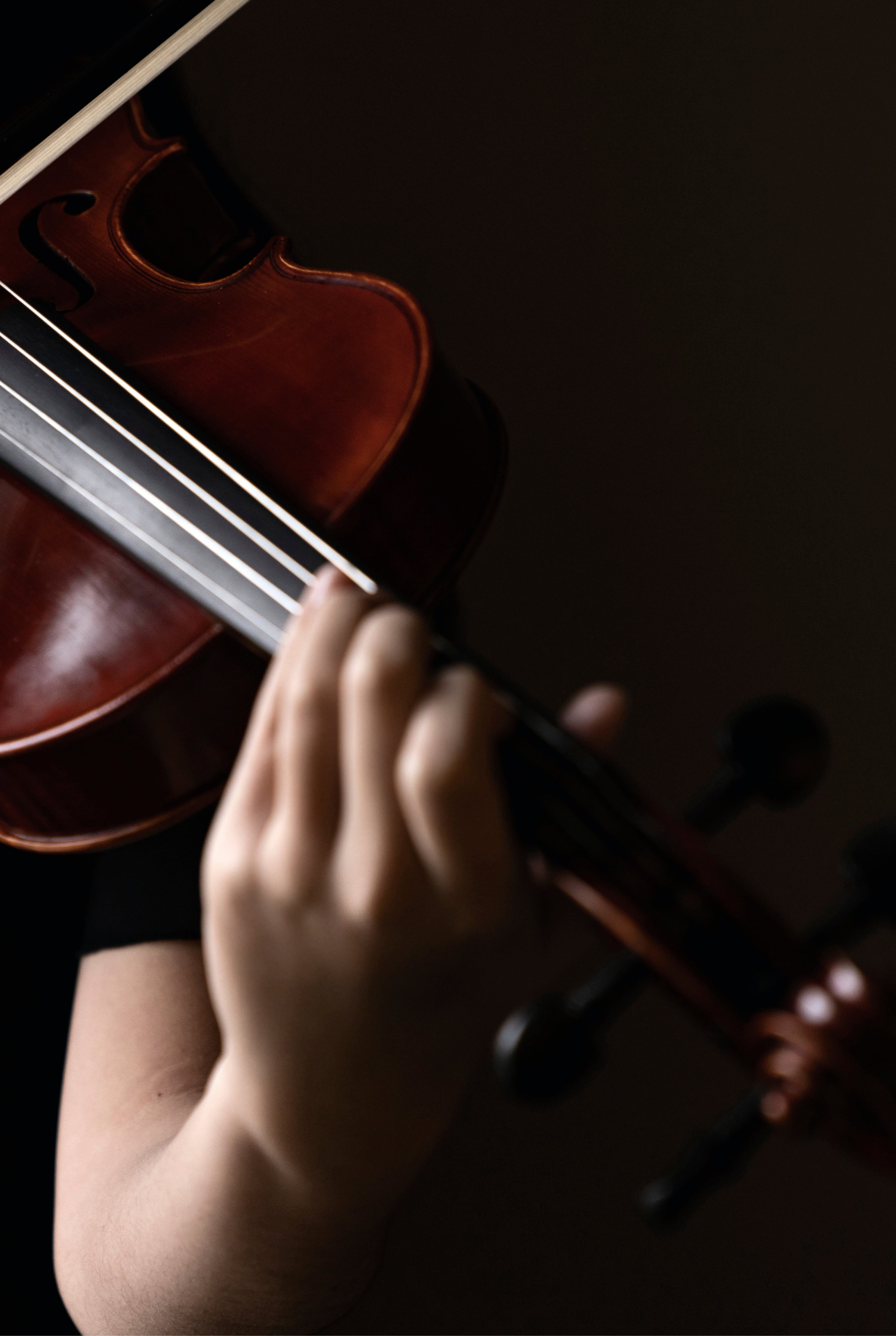 The strings in motion