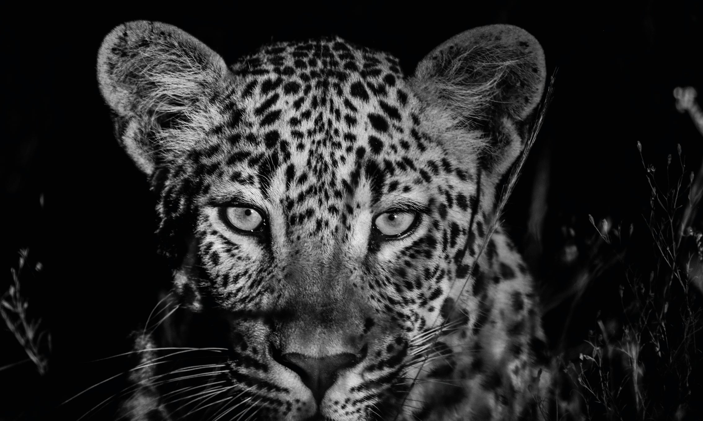 ThewatchfuloneB_W-80x80cm.jpg