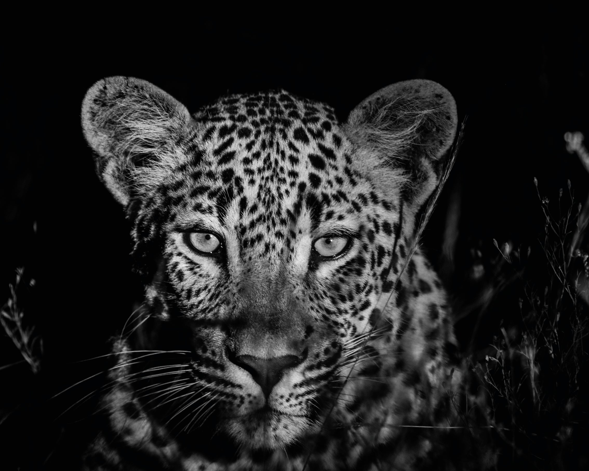ThewatchfuloneB_W-80x80cm.jpg