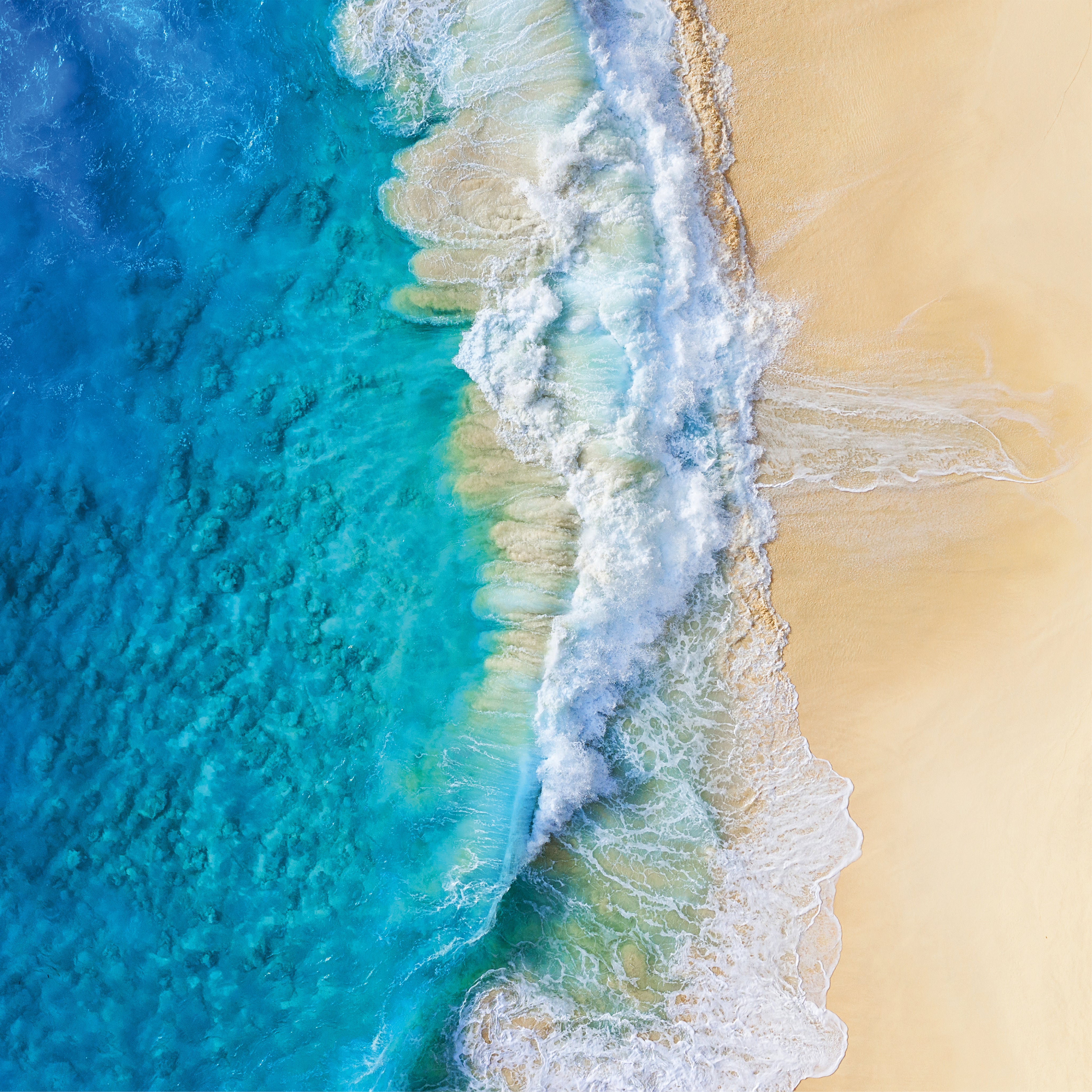 Tidal beauty