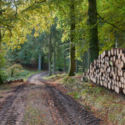 Timber whisper