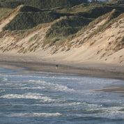 Tiny in tide