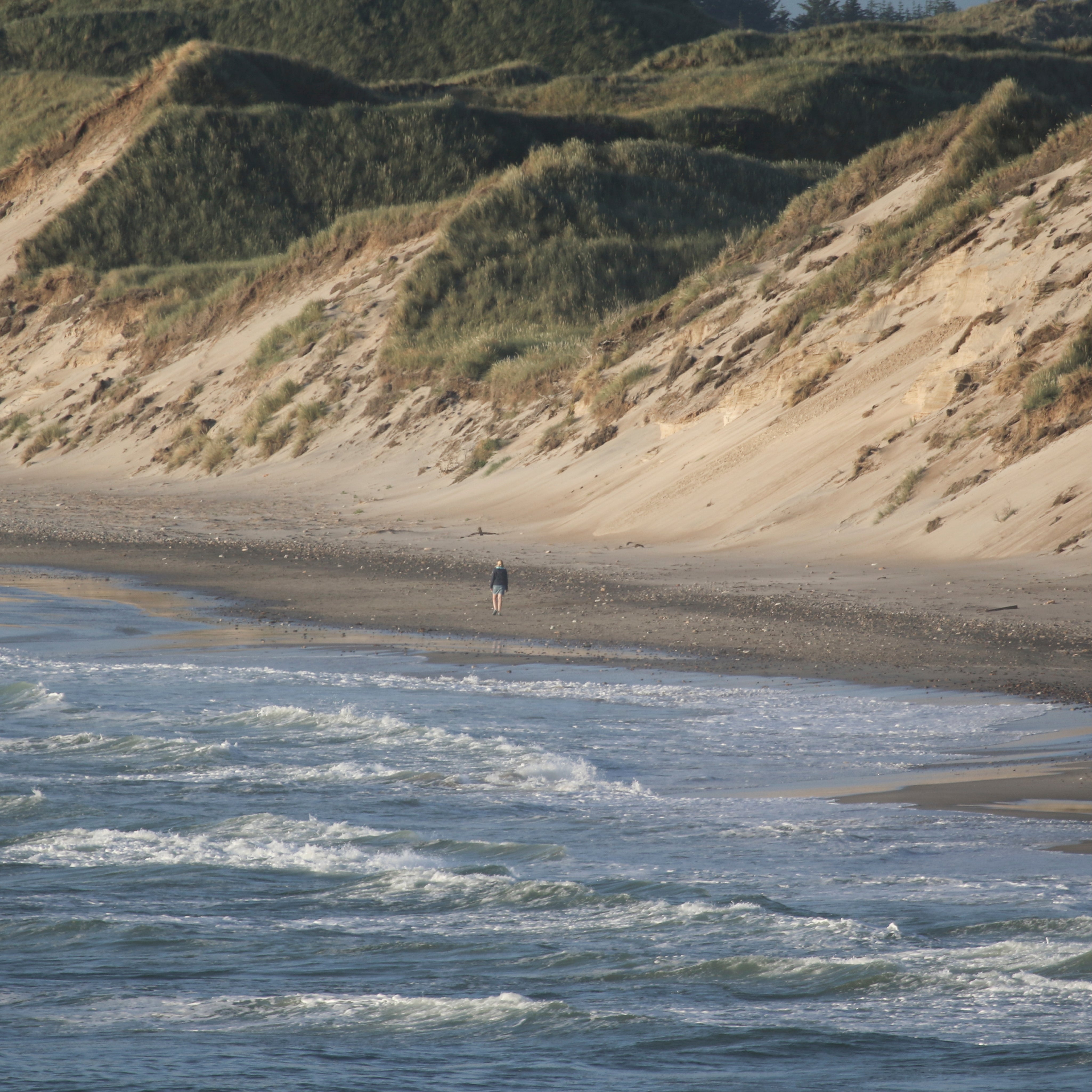 Tiny in tide