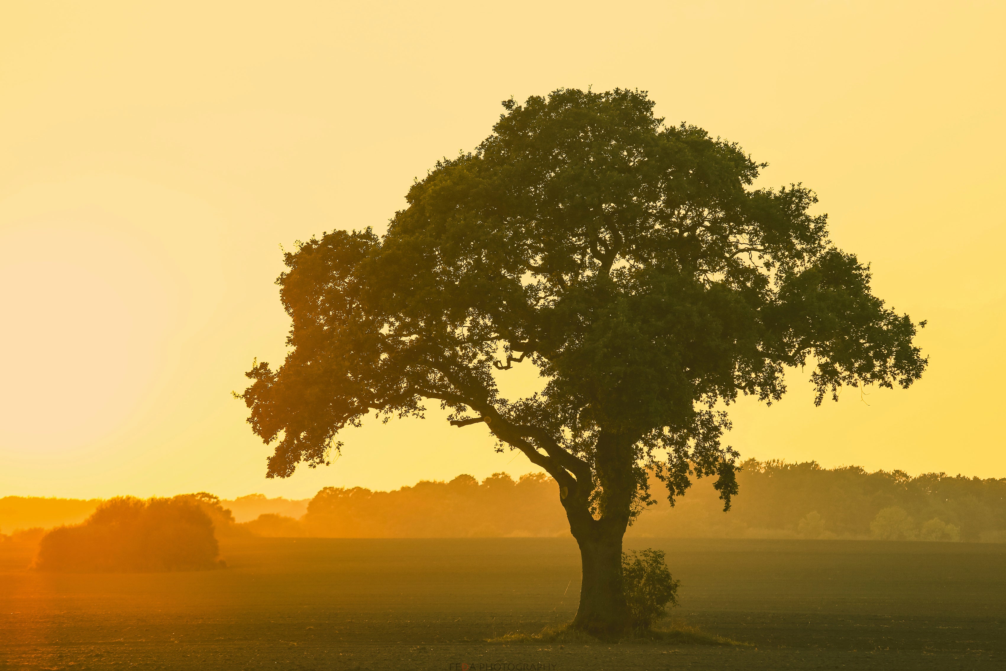 Touchedbythemorninglight-120x80cm.jpg