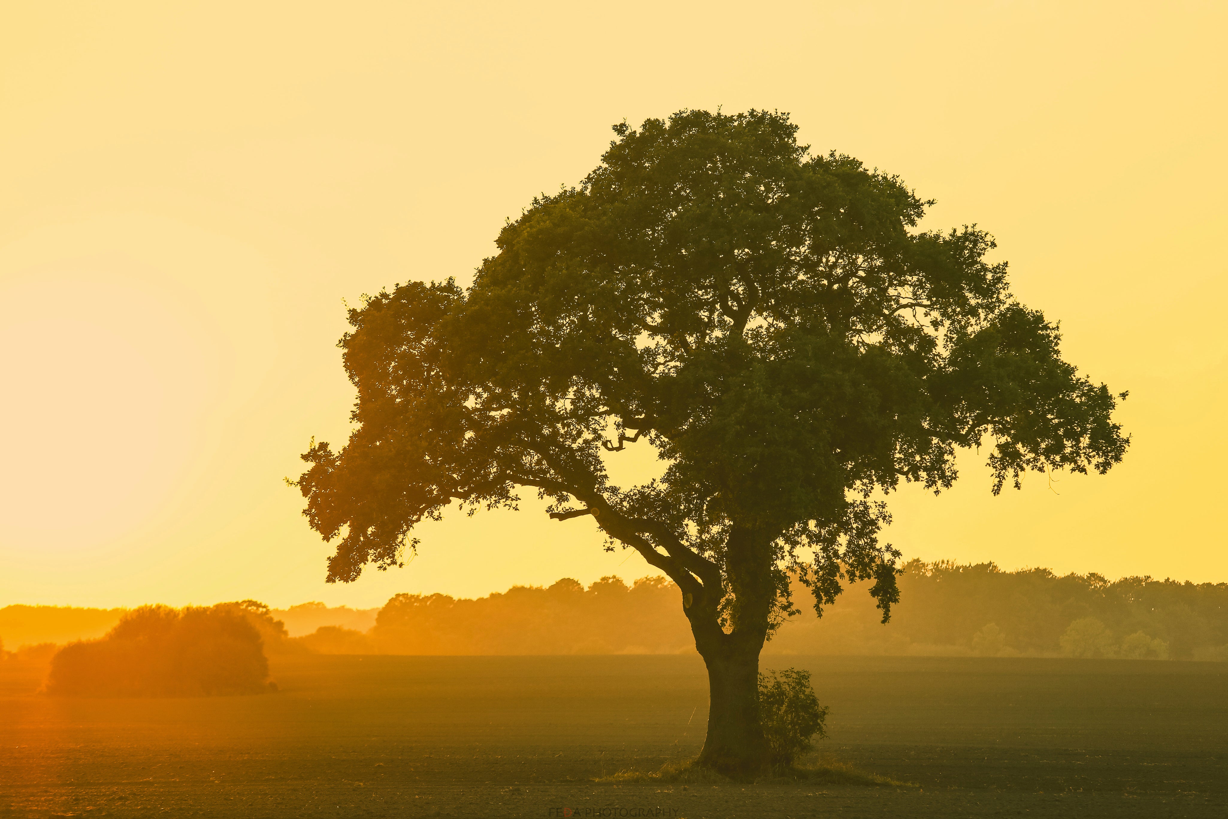 Touchedbythemorninglight-150x100cm.jpg