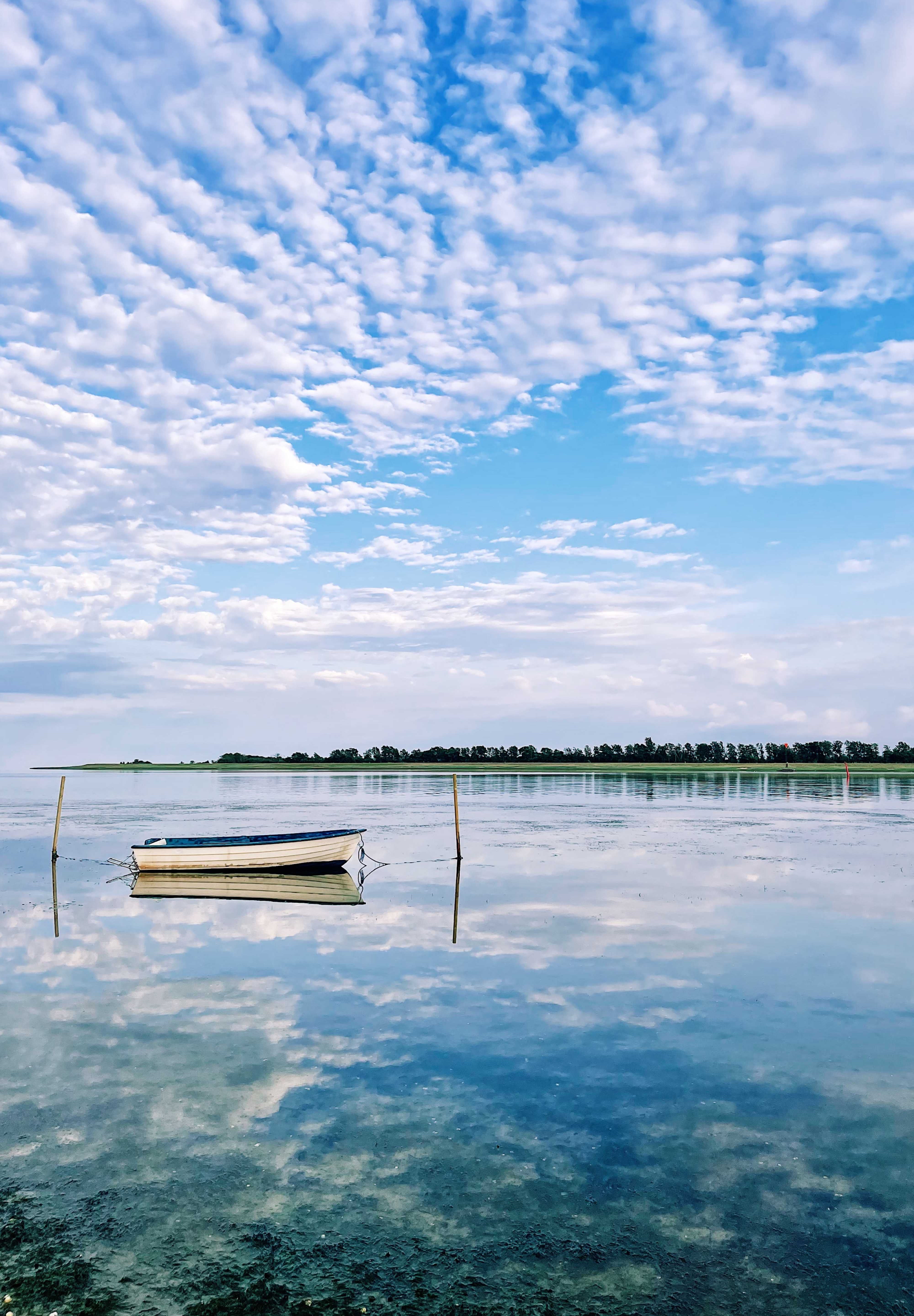 Tranquil reflections