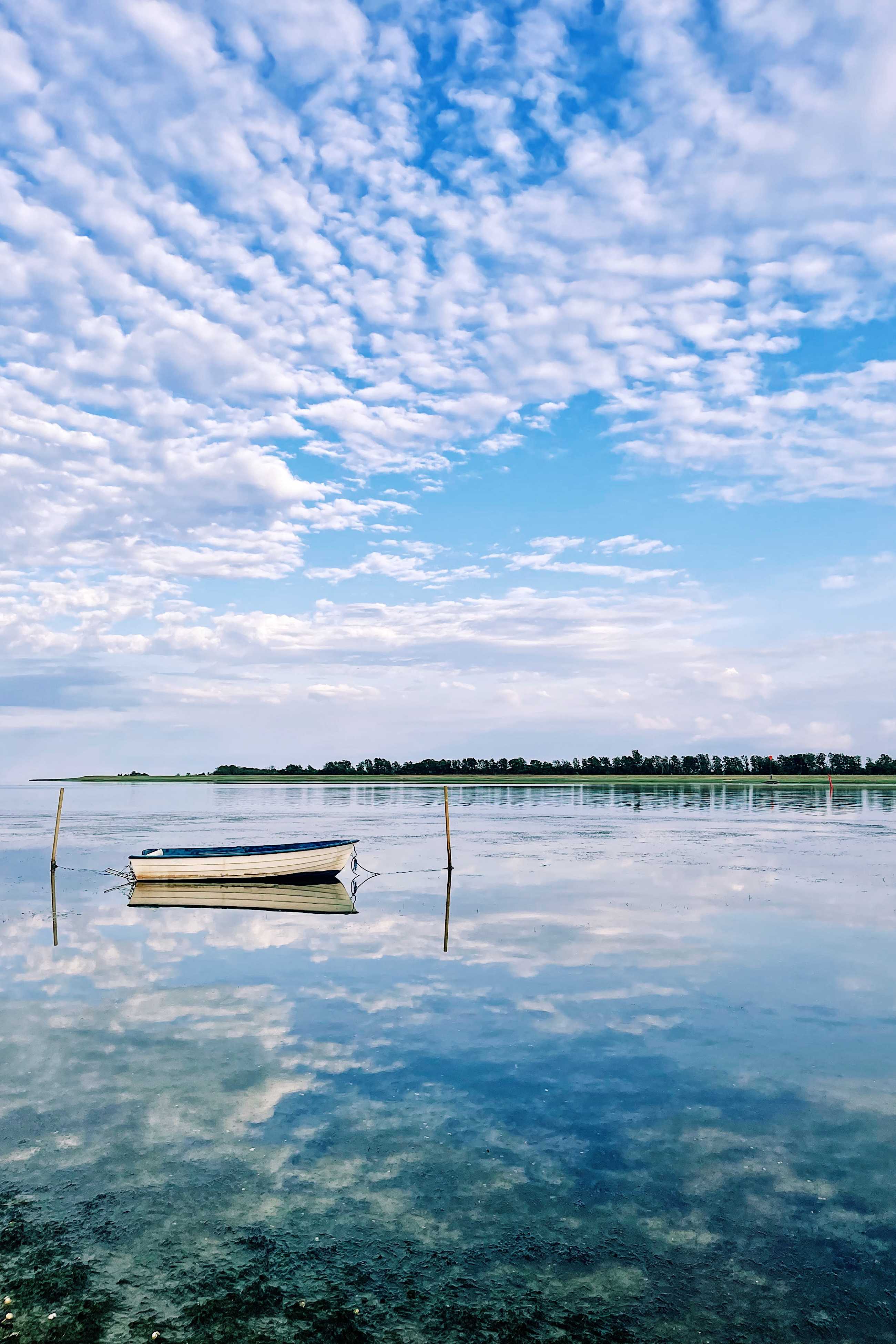 Tranquil reflections