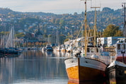 Trondheim waterfront charm