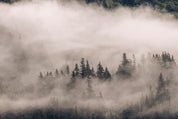 Veil of silence