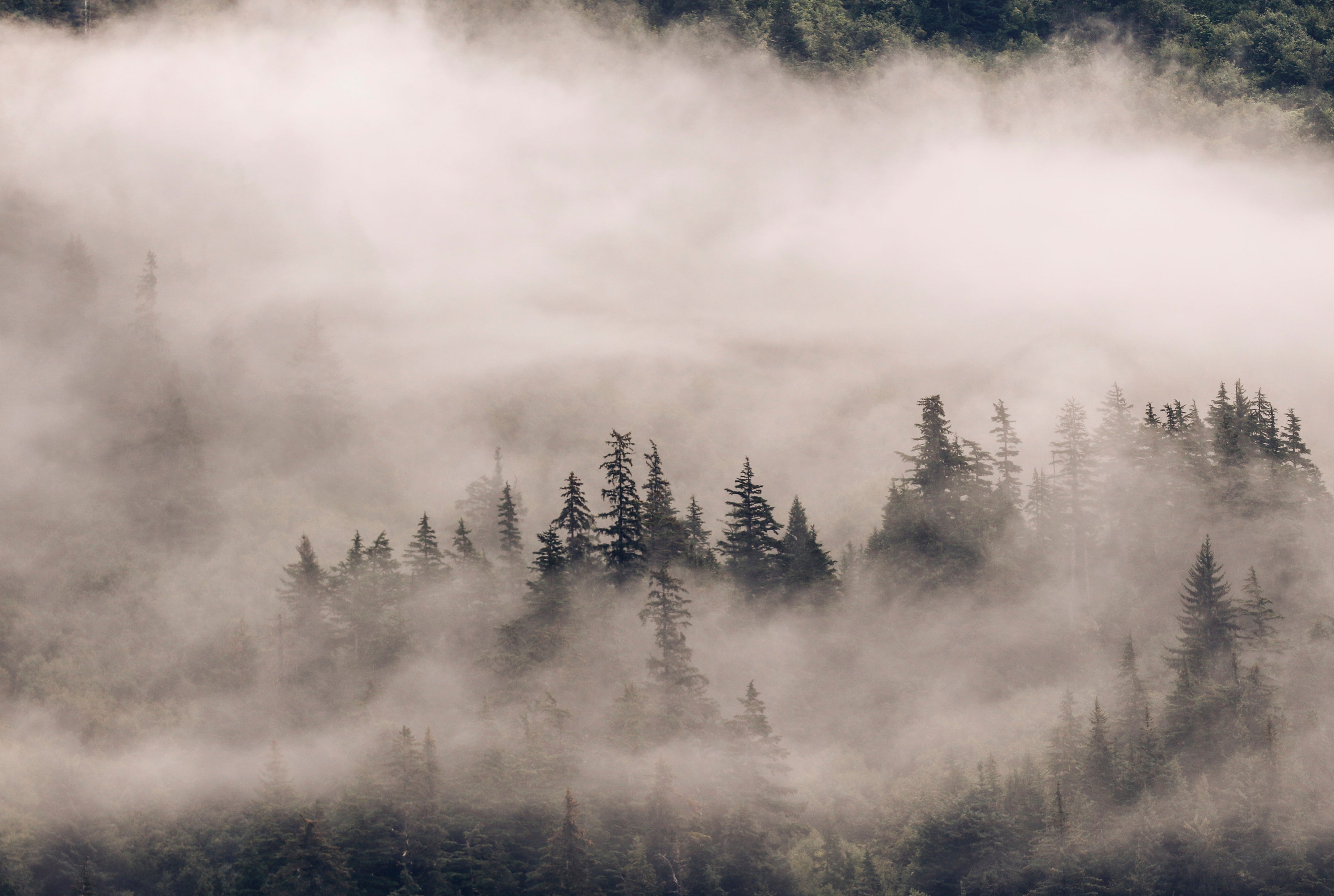 Veil of silence