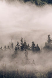 Veil of silence