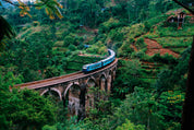 Viaduct vista