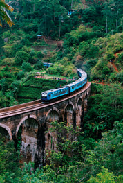 Viaduct vista