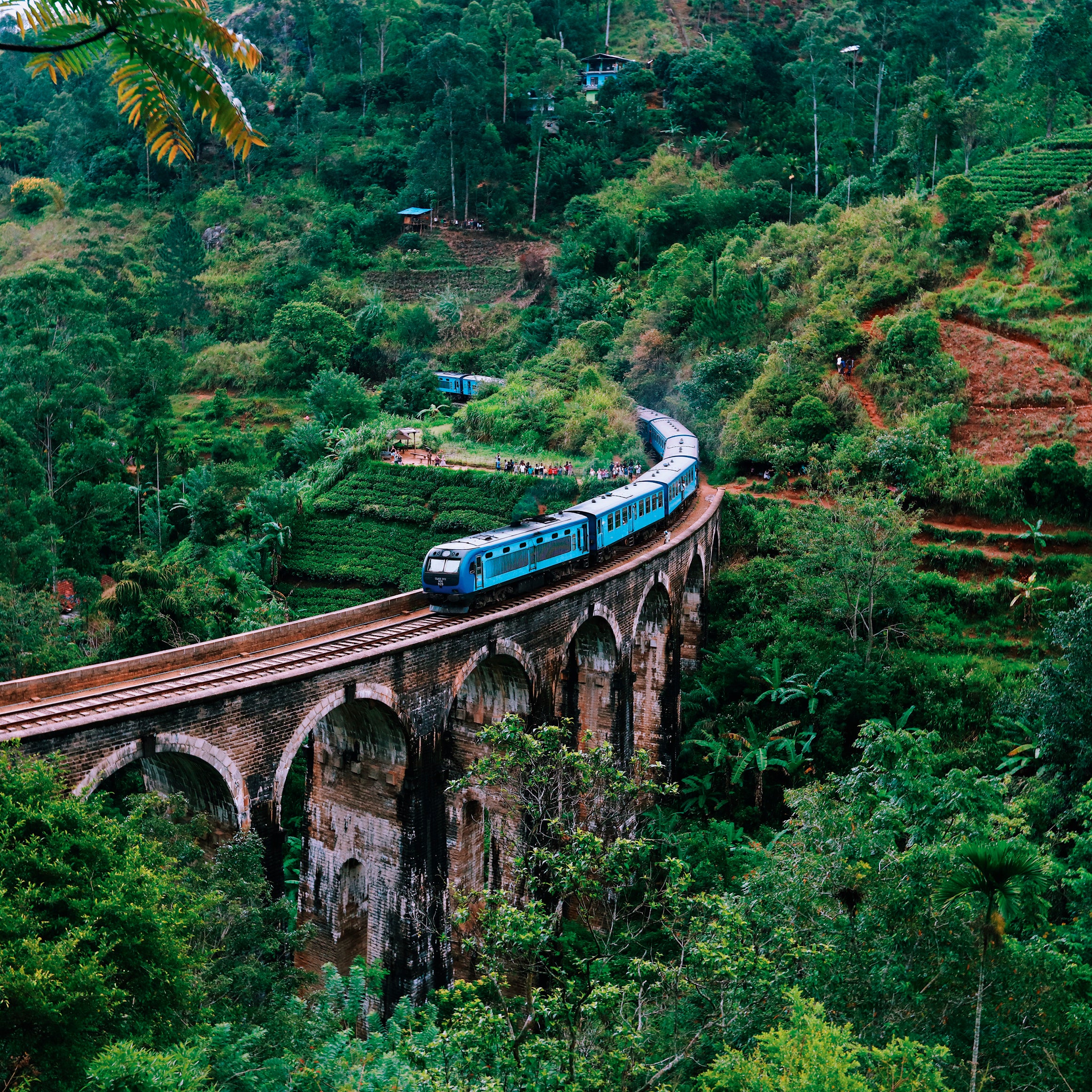 Viaduct vista