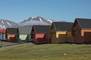 Vibrant arctic living