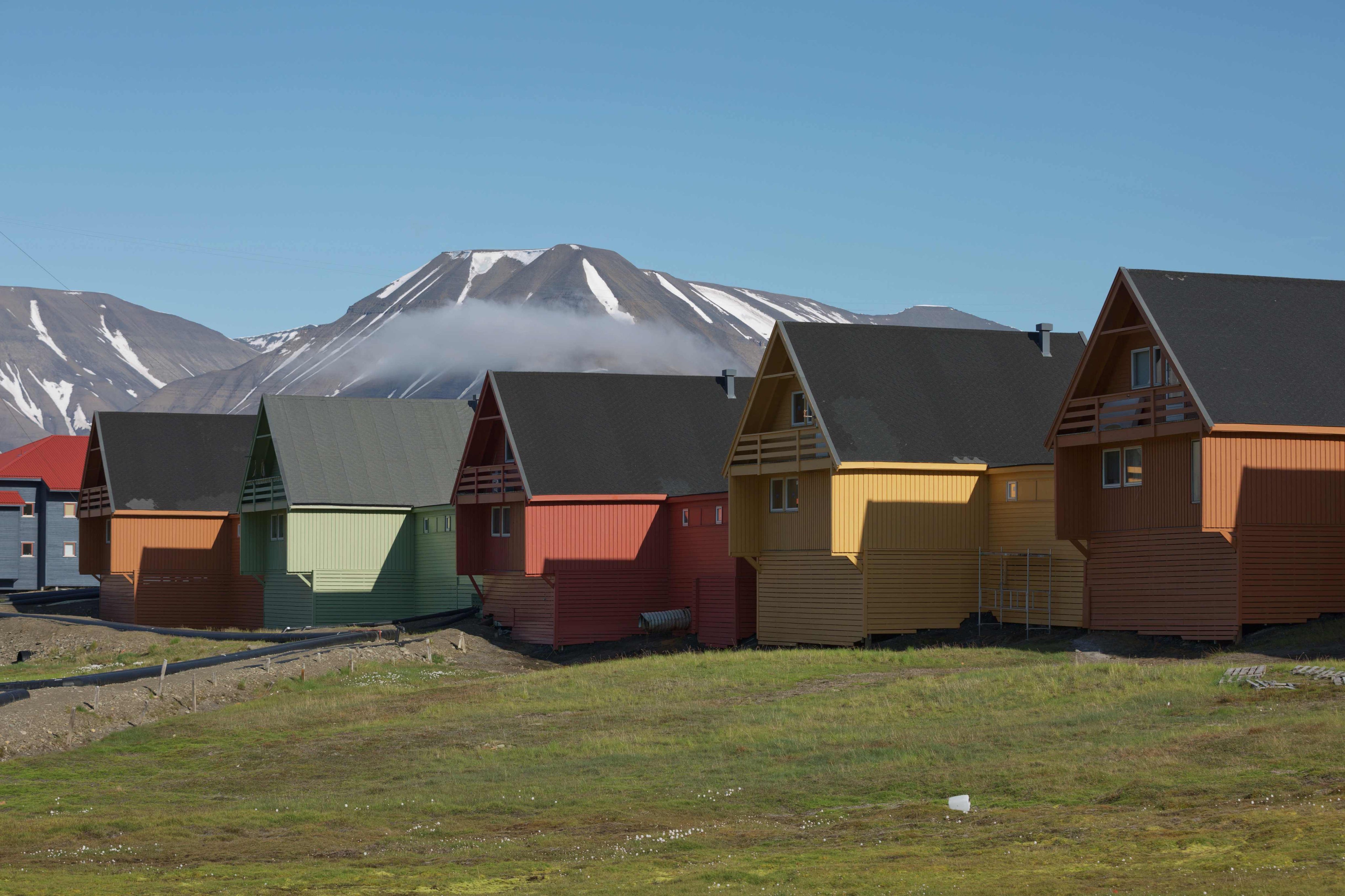 Vibrant arctic living