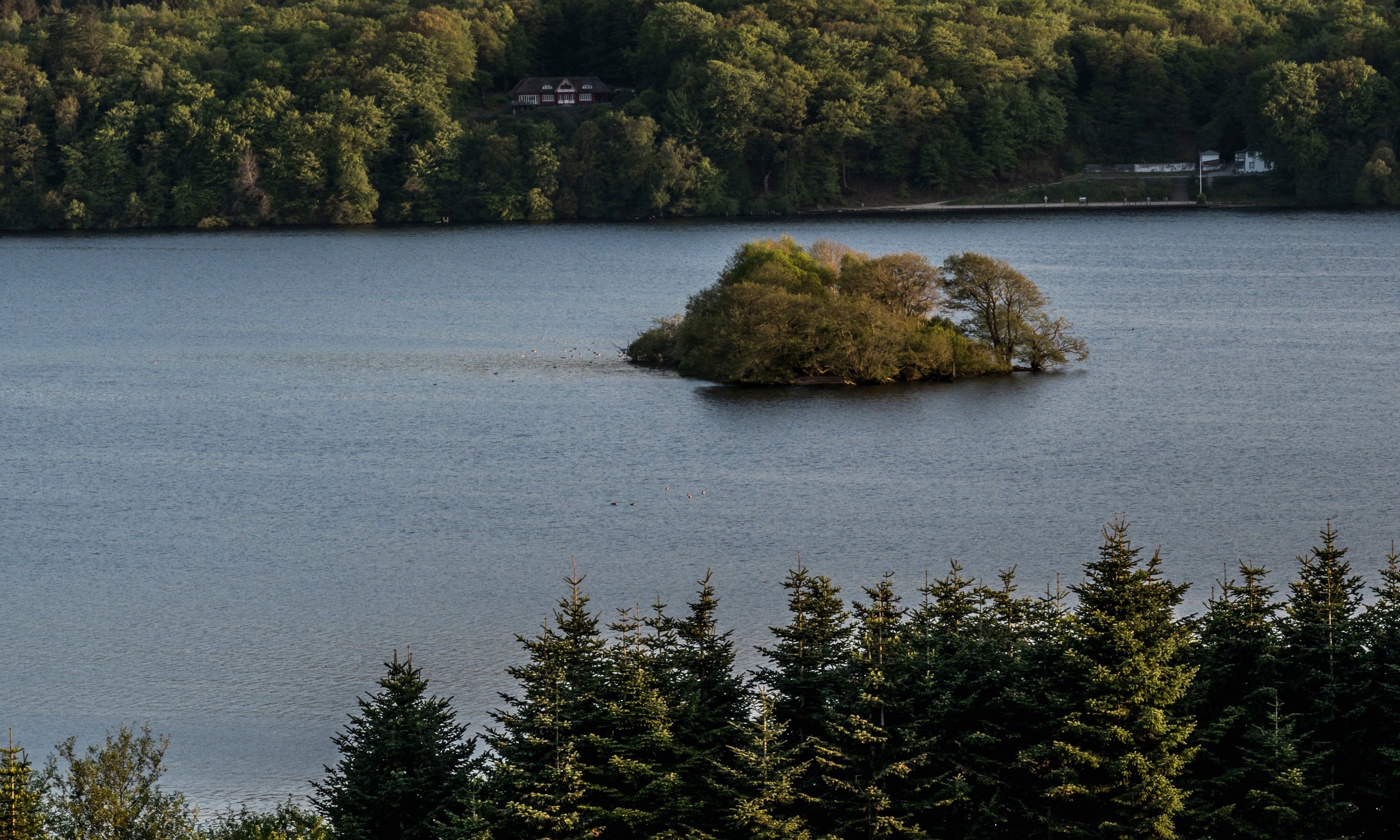 Viewfromthehill-100x160cm.jpg