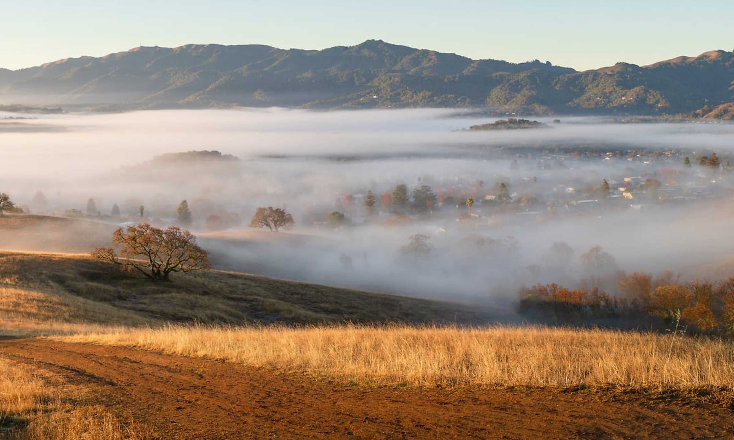 WarmthabovetheFallMist-H.jpg
