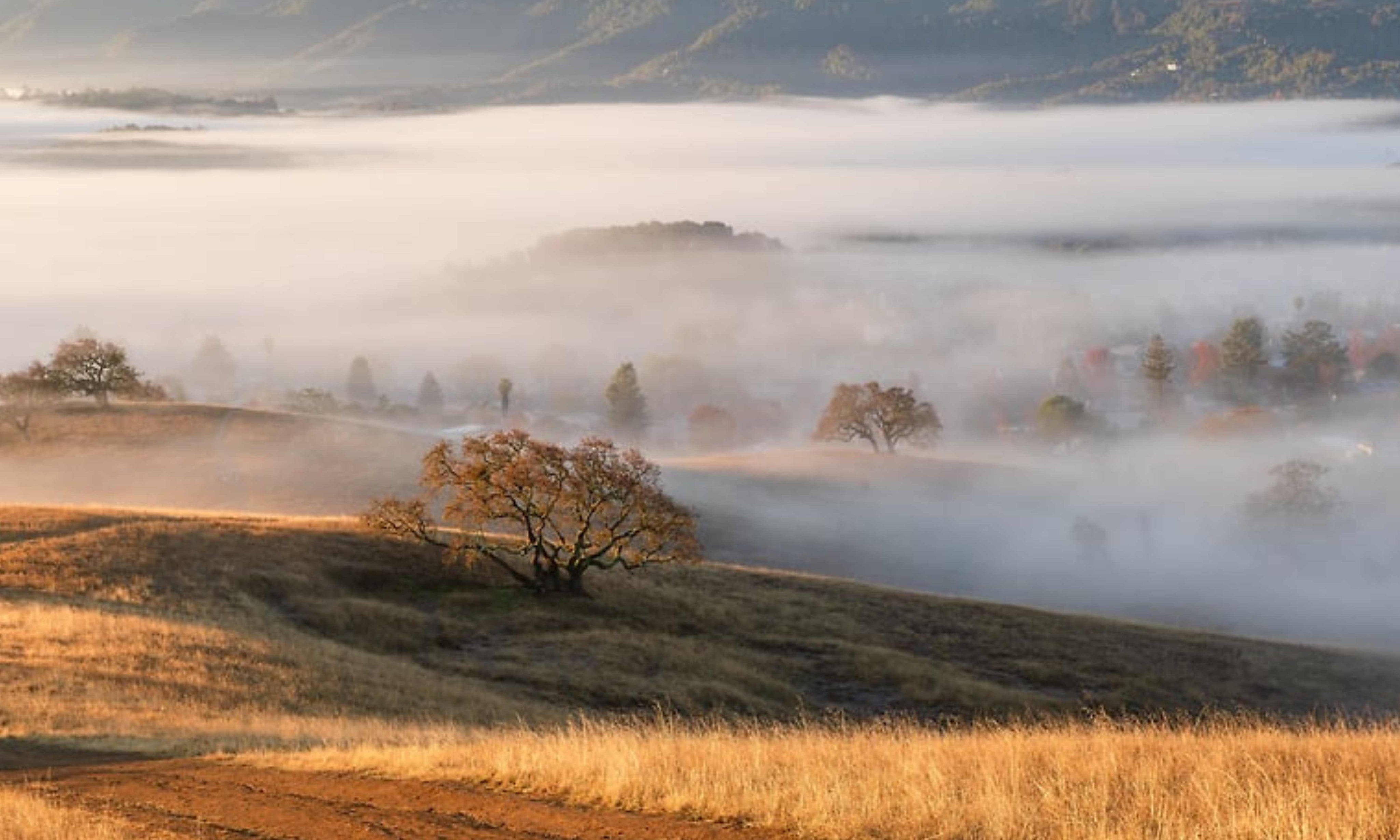 WarmthabovetheFallMist.jpg