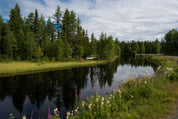 Water’s edge