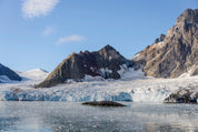 Where ice endures
