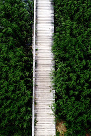 Whispering greenway