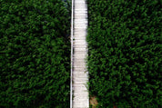 Whispering greenway