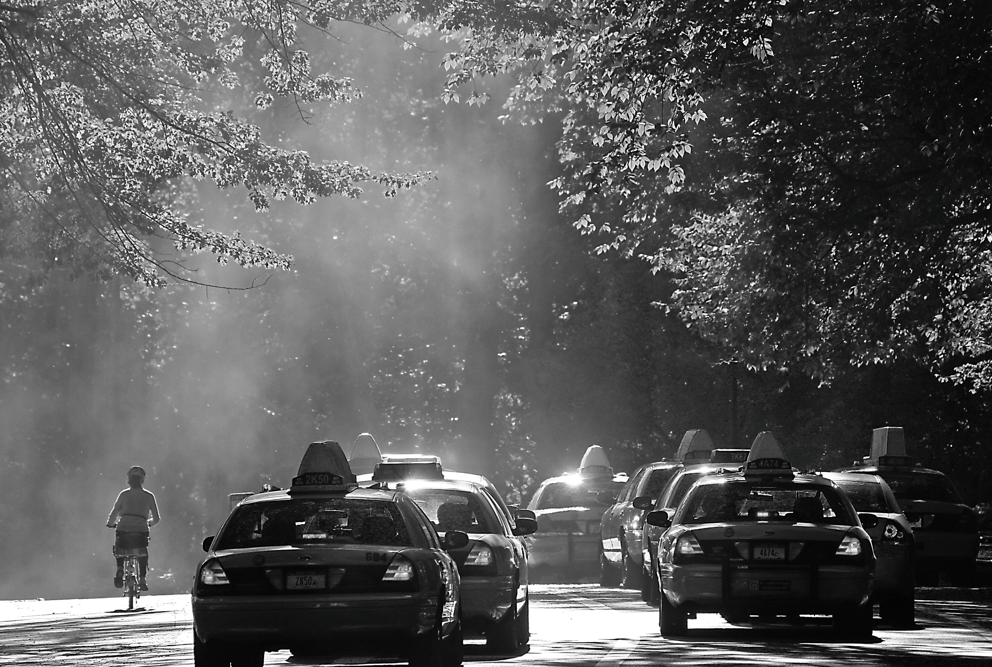 WhispersoftheCity-120x80cm.jpg