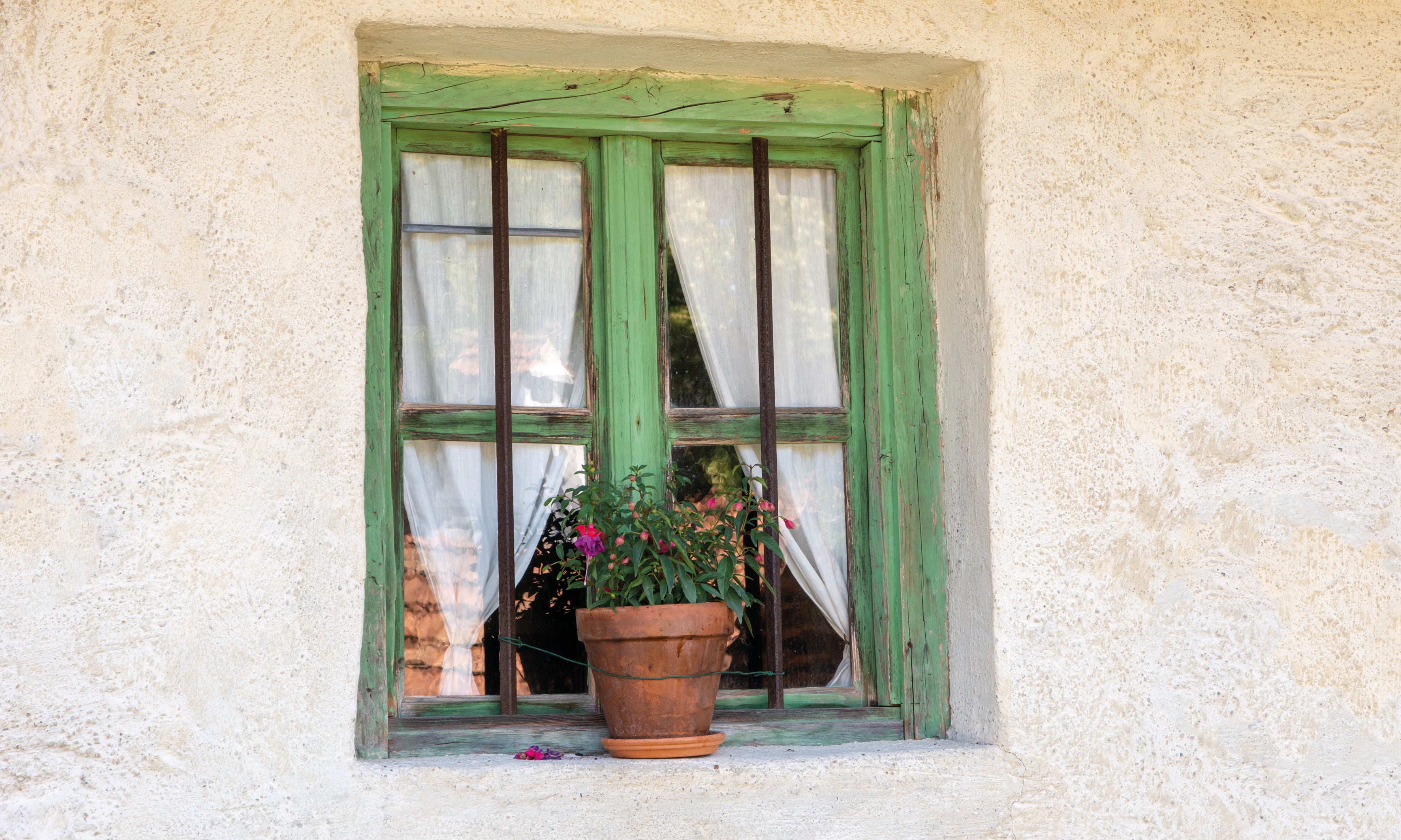 Windowonder-120x80cm.jpg