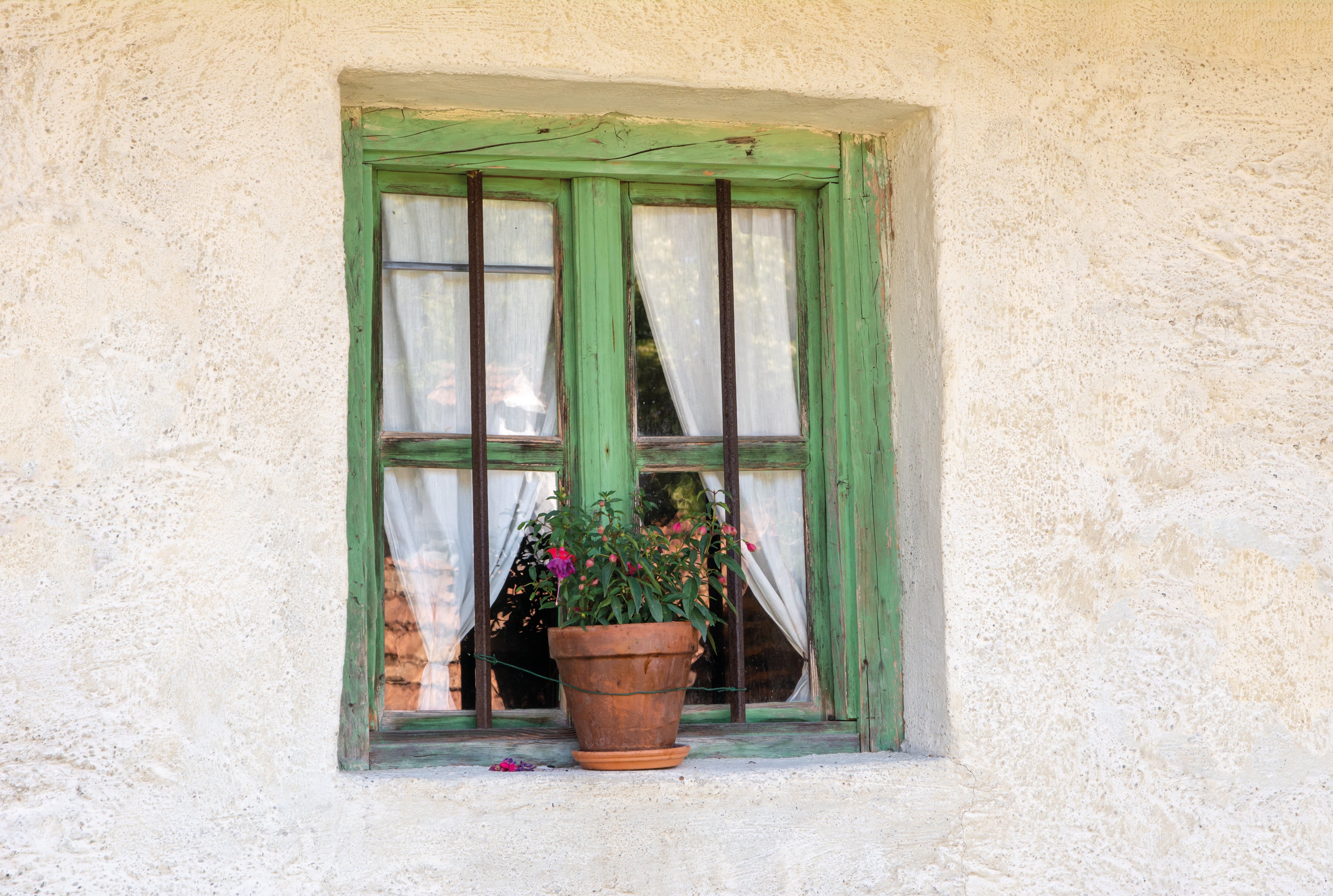 Windowonder